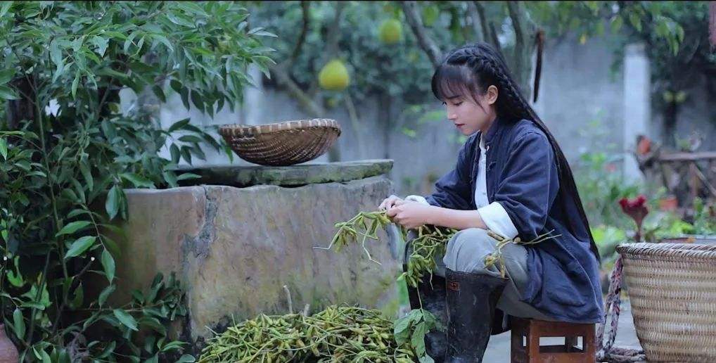 田园生活短视频拍摄题材有哪些？