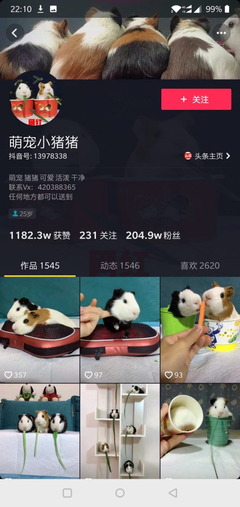 抖音案例分析：宠物类短视频怎么做？-图片3