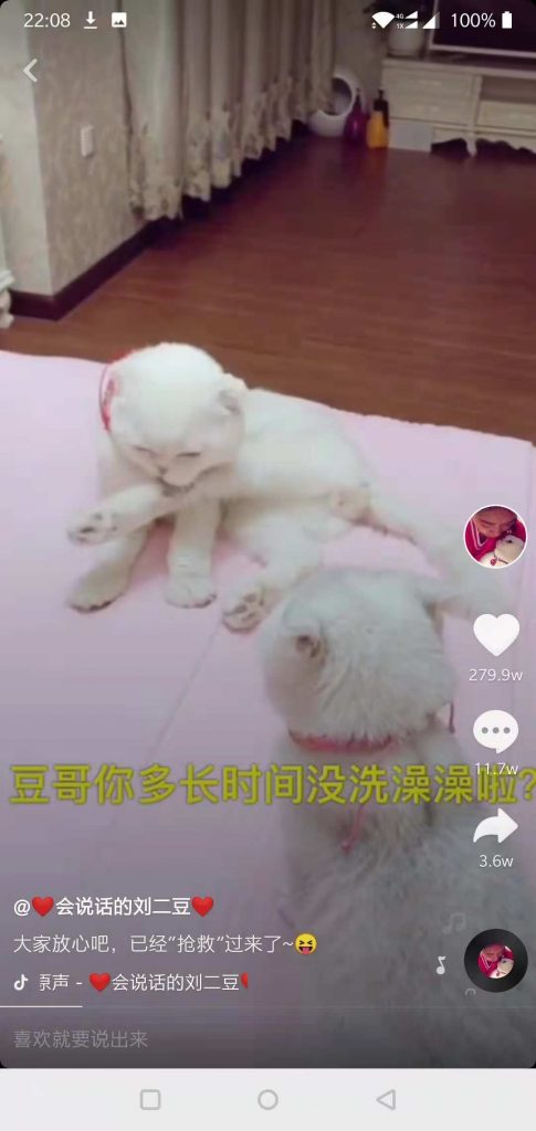 抖音案例分析：宠物类短视频怎么做？-图片2