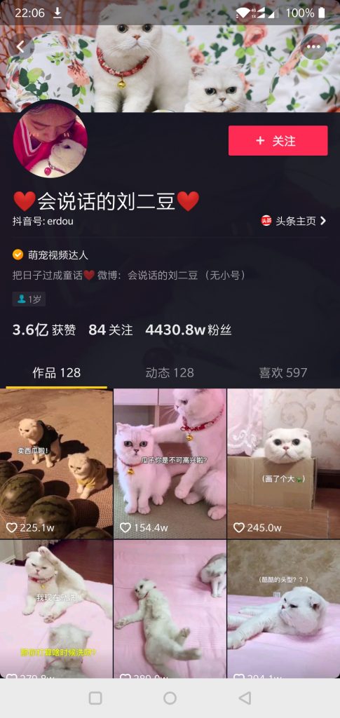 抖音案例分析：宠物类短视频怎么做？-图片2