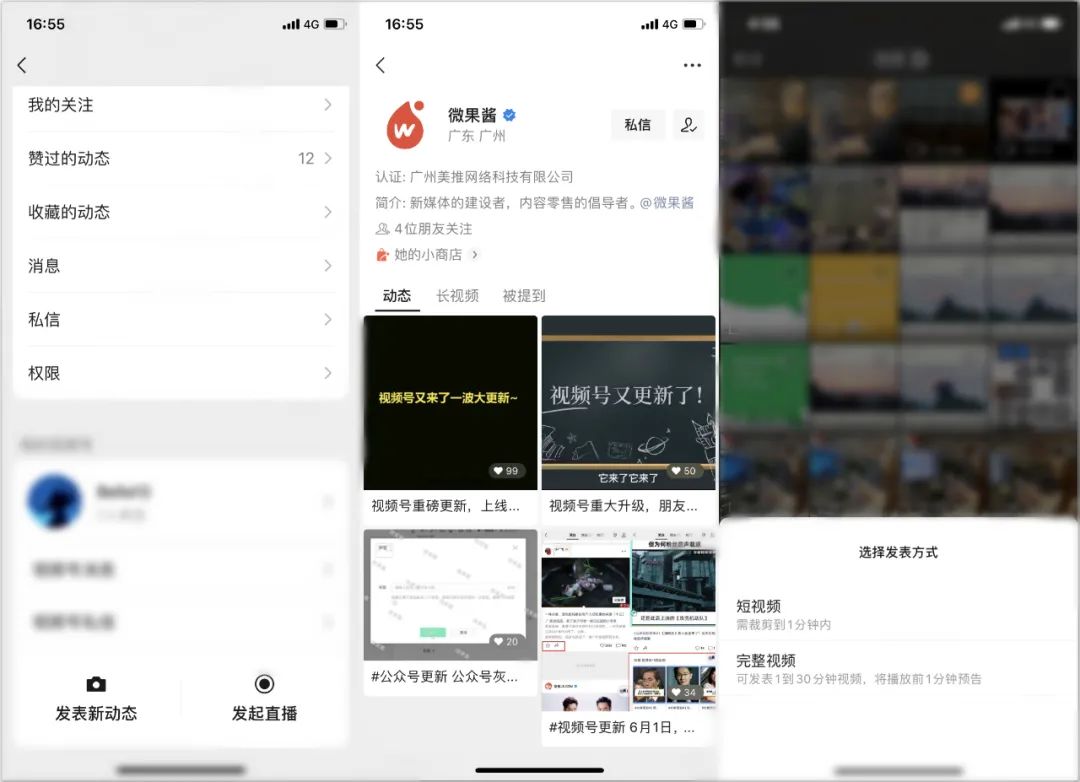 鸟哥笔记,视频直播,微果酱,微信视频号,行业报告 微信视频号进化简史-图片5
