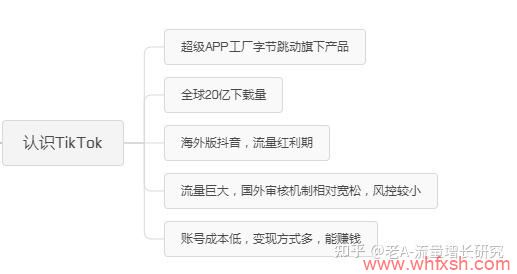 2021TikTok海外抖音保姆级运营教程——0基础小白从入门到精通